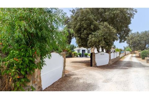 Farm i Ourique, Beja, Ourique - € 1.800.000 | Ref: TGFHAT2158 - foto 24
