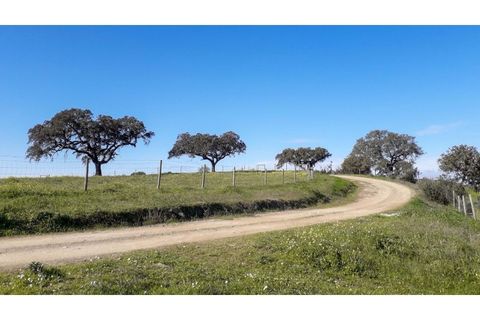 Farm i Ourique, Beja, Ourique - € 1.800.000 | Ref: TGFHAT2158 - foto 25