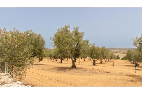 Farm i Ourique, Beja, Ourique - € 1.800.000 | Ref: TGFHAT2158 - foto 27