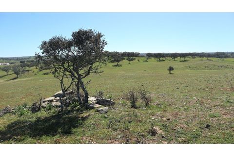 Helårsgrund i Ourique, Beja, Ourique - € 650.000 | Ref: TGFH2086 - foto 2
