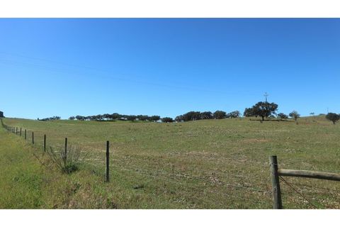 Helårsgrund i Ourique, Beja, Ourique - € 650.000 | Ref: TGFH2086 - foto 3