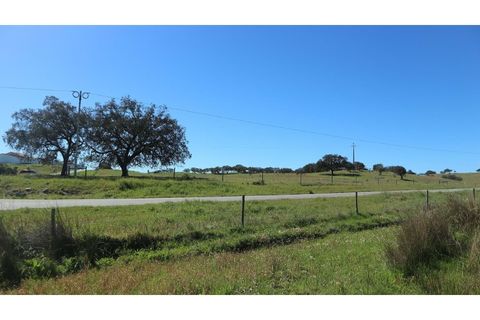 Helårsgrund i Ourique, Beja, Ourique - € 650.000 | Ref: TGFH2086 - foto 6