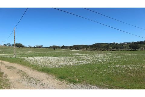 Helårsgrund i Ourique, Beja, Ourique - € 650.000 | Ref: TGFH2086 - foto 7