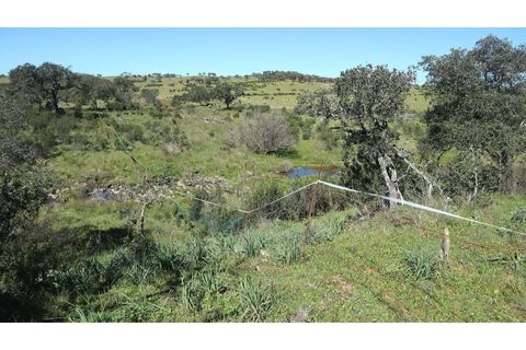 Helårsgrund i Ourique, Beja, Ourique - € 650.000 | Ref: TGFH2086 - foto 8