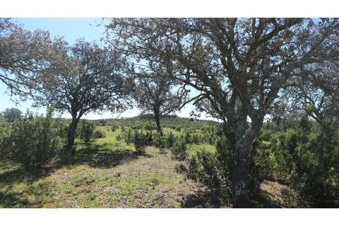 Helårsgrund i Ourique, Beja, Ourique - € 650.000 | Ref: TGFH2086 - foto 9