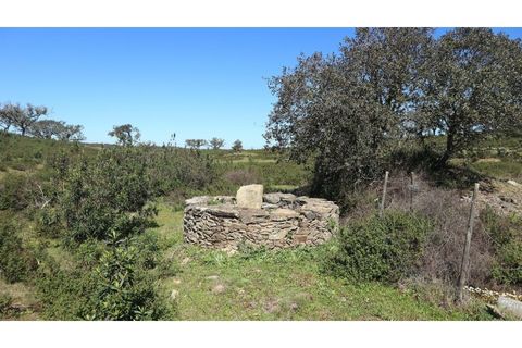 Helårsgrund i Ourique, Beja, Ourique - € 650.000 | Ref: TGFH2086 - foto 10