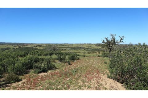 Helårsgrund i Ourique, Beja, Ourique - € 650.000 | Ref: TGFH2086 - foto 12