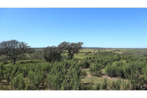 Helårsgrund i Ourique, Beja, Ourique - € 650.000 | Ref: TGFH2086 - foto 13