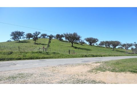 Helårsgrund i Ourique, Beja, Ourique - € 650.000 | Ref: TGFH2086 - foto 14