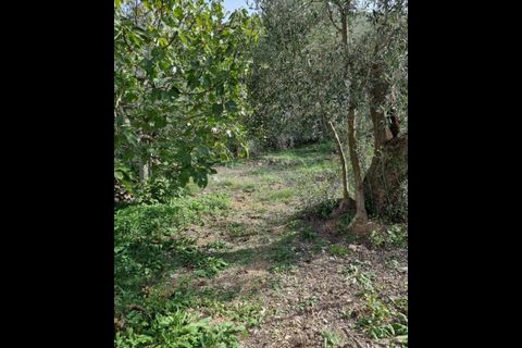 Villa a Imperia, Imperia, Imperia - € 319.000 | Ref: 92 - foto 3