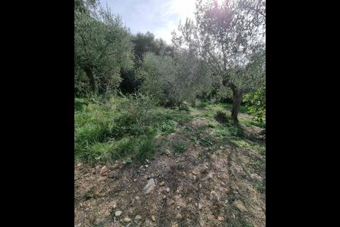 Villa a Imperia, Imperia, Imperia - € 319.000 | Ref: 92 - foto 10