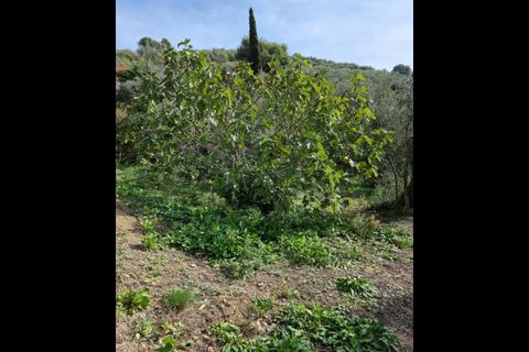 Villa a Imperia, Imperia, Imperia - € 319.000 | Ref: 92 - foto 18