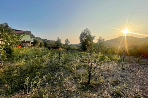 Villa a Vallebona, Imperia, Vallebona - € 399.000 | Ref: 117 - foto 3
