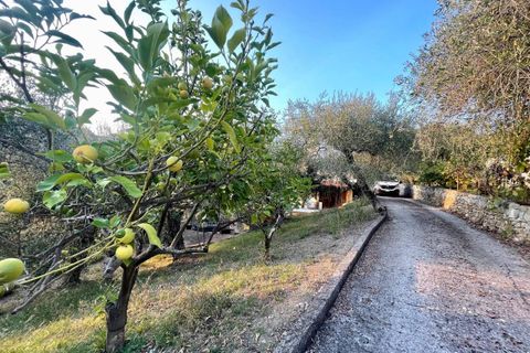 Villa a Vallebona, Imperia, Vallebona - € 399.000 | Ref: 117 - foto 5