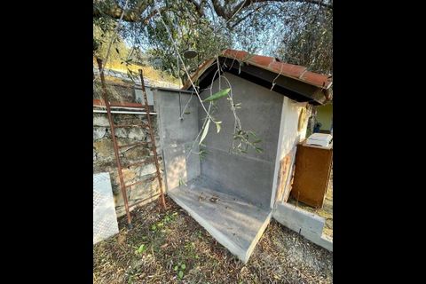 Villa a Vallebona, Imperia, Vallebona - € 399.000 | Ref: 117 - foto 13