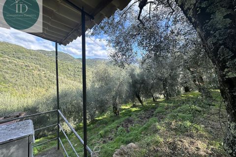 Landejendom i Apricale, Imperia, Apricale - € 75.000 | Ref: 132 - foto 2