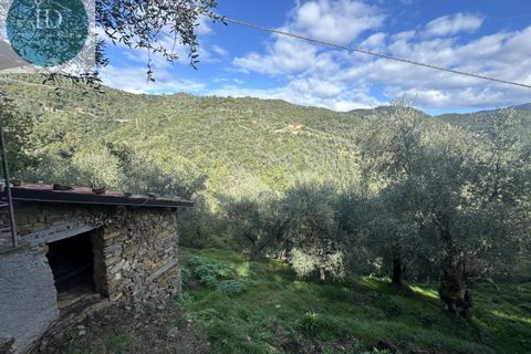 Landejendom i Apricale, Imperia, Apricale - € 75.000 | Ref: 132 - foto 4