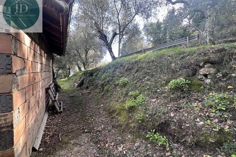 Landejendom i Apricale, Imperia, Apricale - € 75.000 | Ref: 132 - foto 7