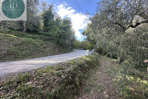 Landejendom i Apricale, Imperia, Apricale - € 75.000 | Ref: 132 - foto 9