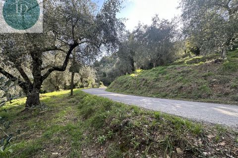 Landejendom i Apricale, Imperia, Apricale - € 75.000 | Ref: 132 - foto 10
