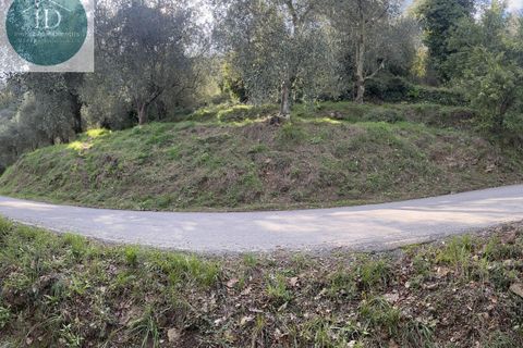 Landejendom i Apricale, Imperia, Apricale - € 75.000 | Ref: 132 - foto 11
