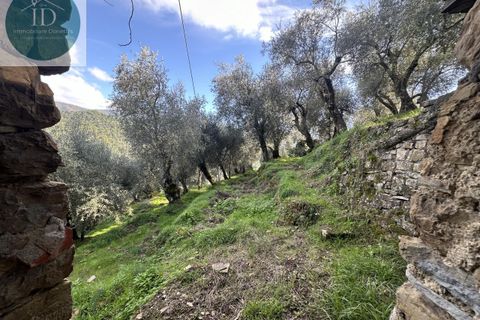Landejendom i Apricale, Imperia, Apricale - € 75.000 | Ref: 132 - foto 12