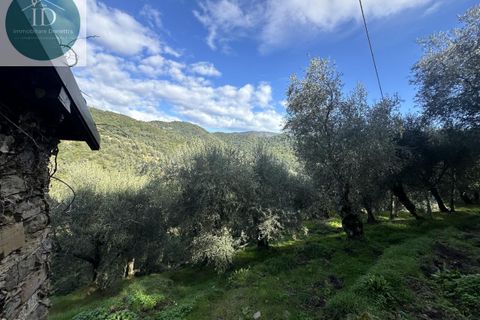 Landejendom i Apricale, Imperia, Apricale - € 75.000 | Ref: 132 - foto 14