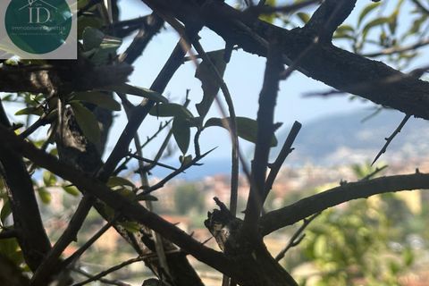 Villa i Cervo, Imperia, Cervo - € 890.000 | Ref: 166 - foto 3