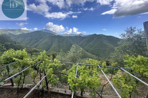 Villa i Bajardo, Imperia, Bajardo - € 350.000 | Ref: 168 - foto 1