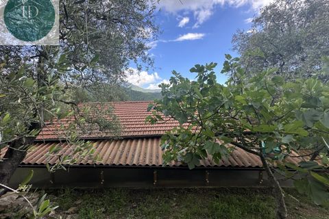 Villa i Bajardo, Imperia, Bajardo - € 350.000 | Ref: 168 - foto 3