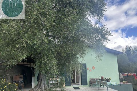 Villa i Bajardo, Imperia, Bajardo - € 350.000 | Ref: 168 - foto 6