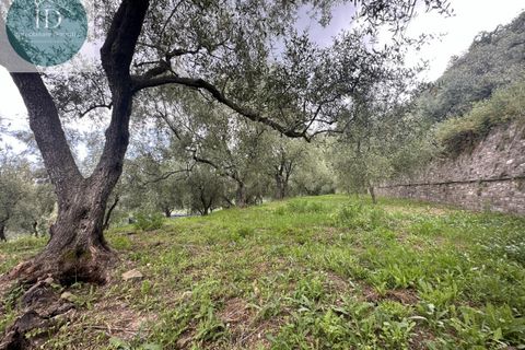 Villa i Bajardo, Imperia, Bajardo - € 350.000 | Ref: 168 - foto 8