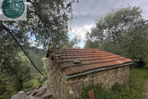 Villa i Bajardo, Imperia, Bajardo - € 350.000 | Ref: 168 - foto 9