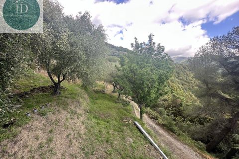 Villa i Bajardo, Imperia, Bajardo - € 350.000 | Ref: 168 - foto 10