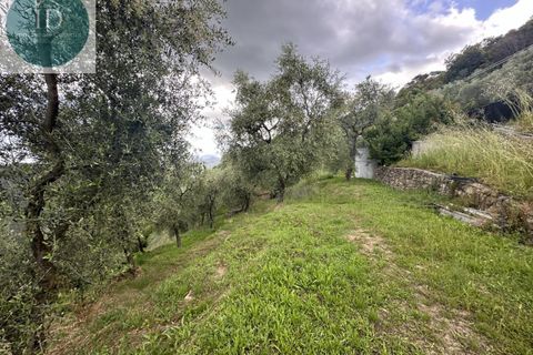 Villa i Bajardo, Imperia, Bajardo - € 350.000 | Ref: 168 - foto 12