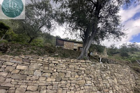Villa i Bajardo, Imperia, Bajardo - € 350.000 | Ref: 168 - foto 13