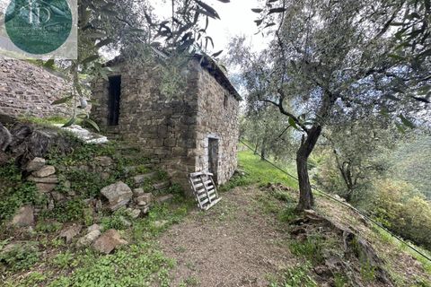Villa i Bajardo, Imperia, Bajardo - € 350.000 | Ref: 168 - foto 14