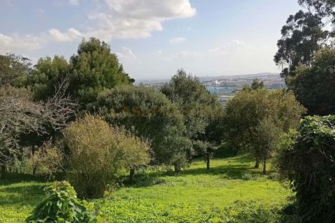 Helårsgrund i Sintra, Lisbon, Sintra - € 2.300.000 | Ref: CP034 - foto 2