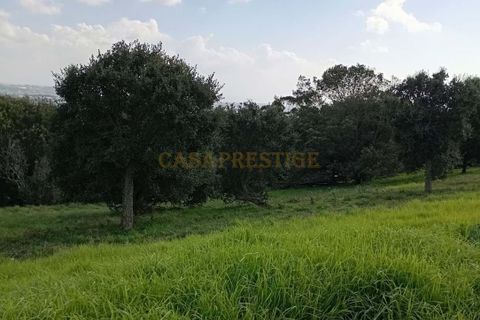 Helårsgrund i Sintra, Lisbon, Sintra - € 2.300.000 | Ref: CP034 - foto 3
