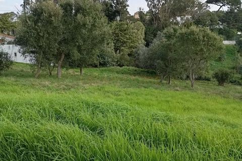 Helårsgrund i Sintra, Lisbon, Sintra - € 2.300.000 | Ref: CP034 - foto 4
