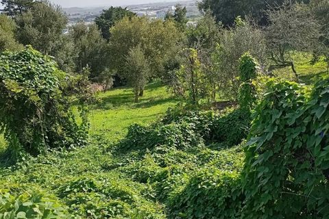 Helårsgrund i Sintra, Lisbon, Sintra - € 2.300.000 | Ref: CP034 - foto 5