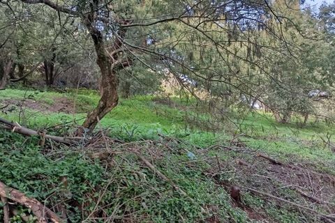 Helårsgrund i Sintra, Lisbon, Sintra - € 2.300.000 | Ref: CP034 - foto 6