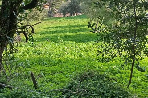 Helårsgrund i Sintra, Lisbon, Sintra - € 2.300.000 | Ref: CP034 - foto 7