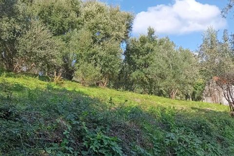 Helårsgrund i Sintra, Lisbon, Sintra - € 2.300.000 | Ref: CP034 - foto 8