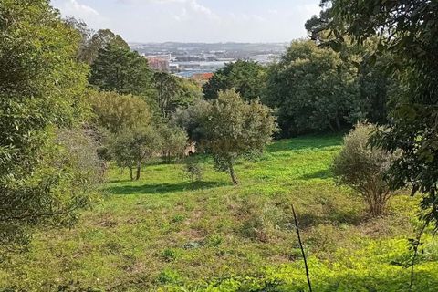 Helårsgrund i Sintra, Lisbon, Sintra - € 2.300.000 | Ref: CP034 - foto 9