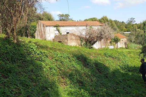 Helårsgrund i Sintra, Lisbon, Sintra - € 2.300.000 | Ref: CP034 - foto 10