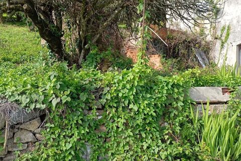 Helårsgrund i Sintra, Lisbon, Sintra - € 2.300.000 | Ref: CP034 - foto 11