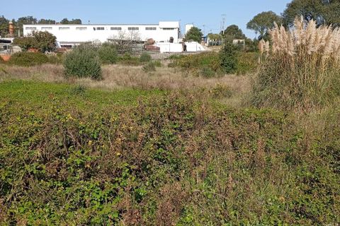 Helårsgrund i Sintra, Lisbon, Sintra - € 299.800 | Ref: CP035 - foto 3