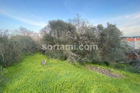 Helårsgrund i Lagoa, Faro, Lagoa - € 900.000 | Ref: Sort19554 - foto 7