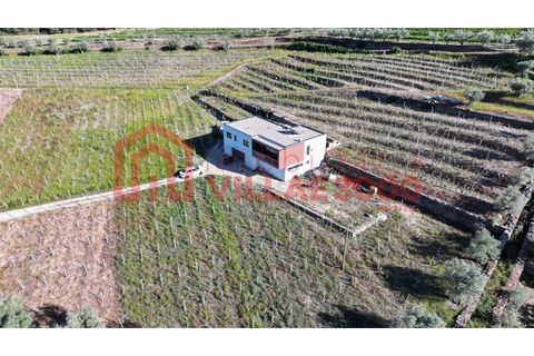 Farm i Tabuaco, Viseu, Tabuaco - € 500.000 | Ref: MAS_392 - foto 2